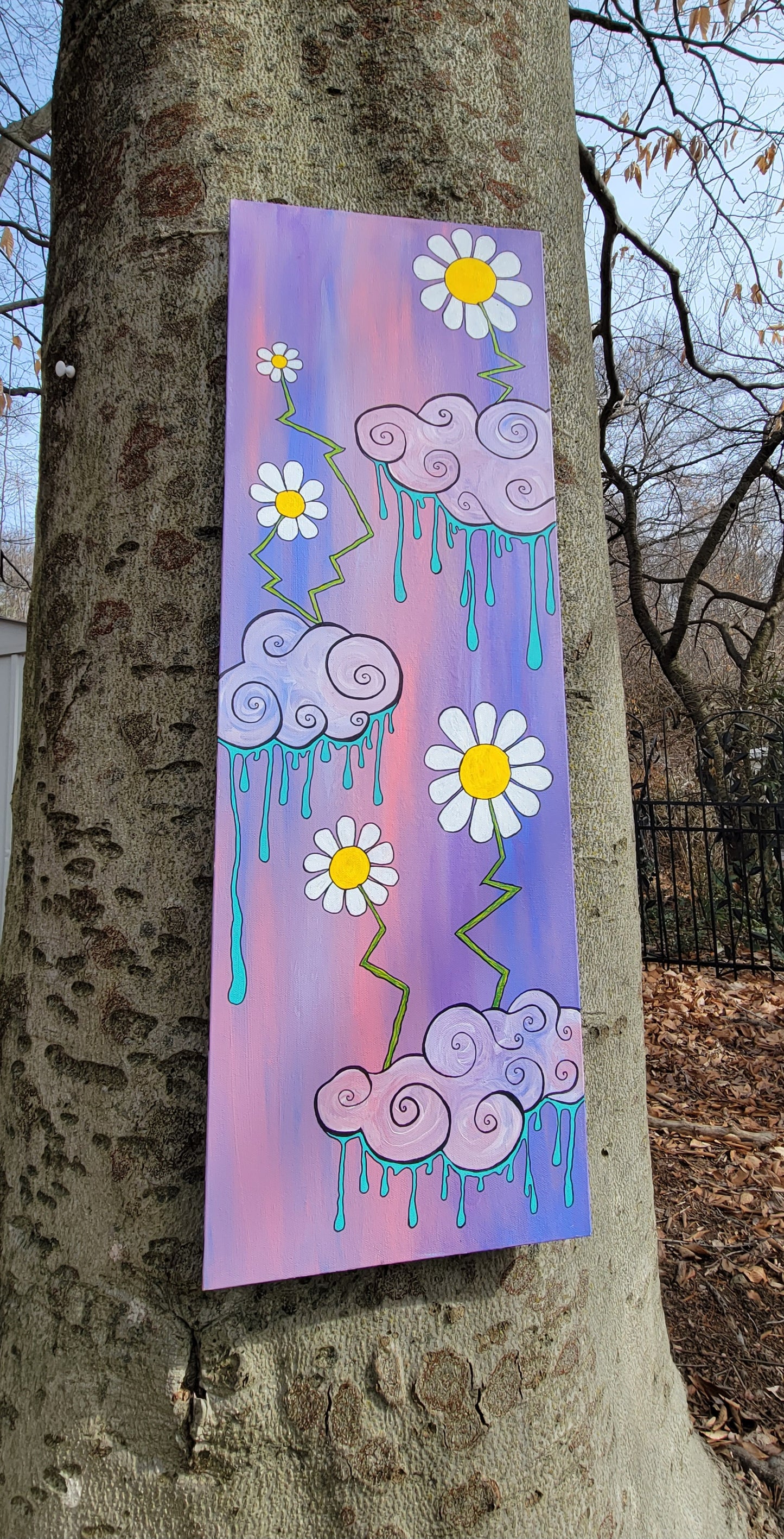 Rainy Daisy
