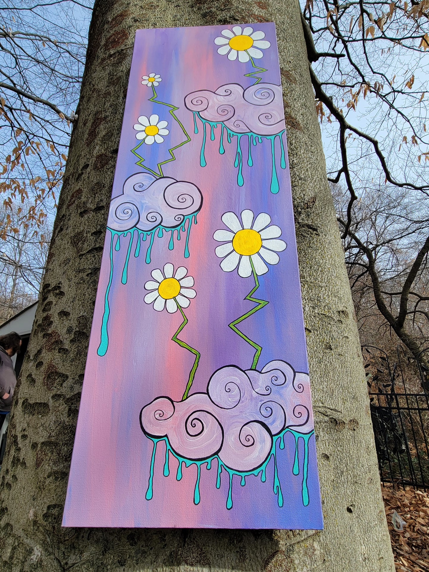 Rainy Daisy