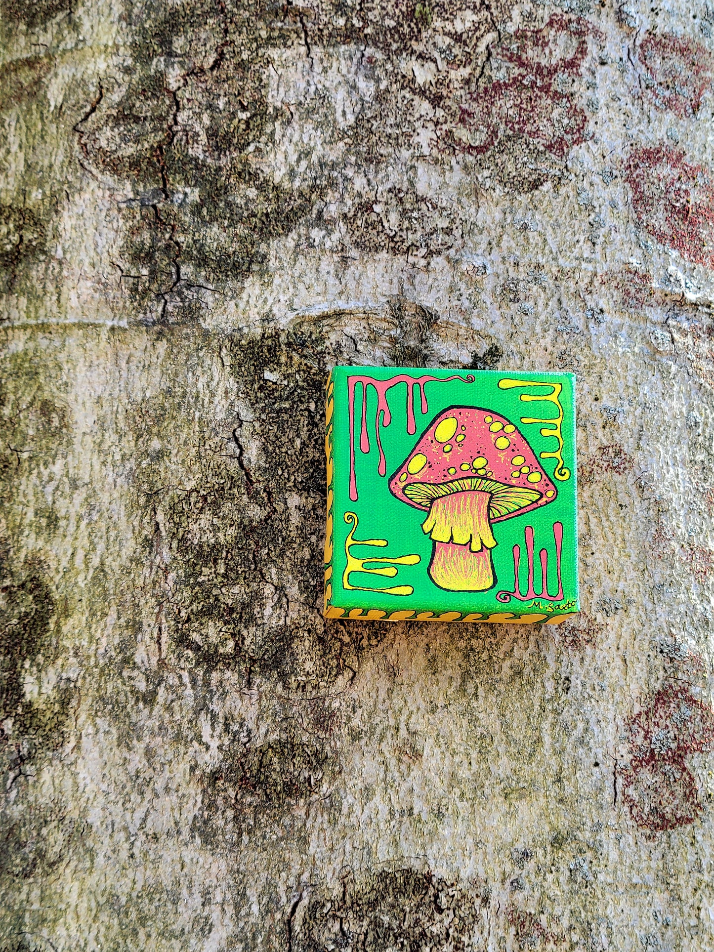 Rasta Shroom