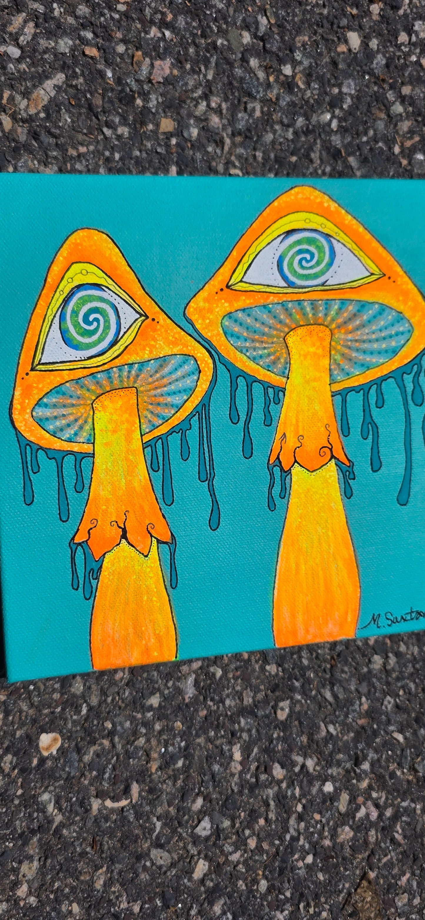 Mushroom Watchers