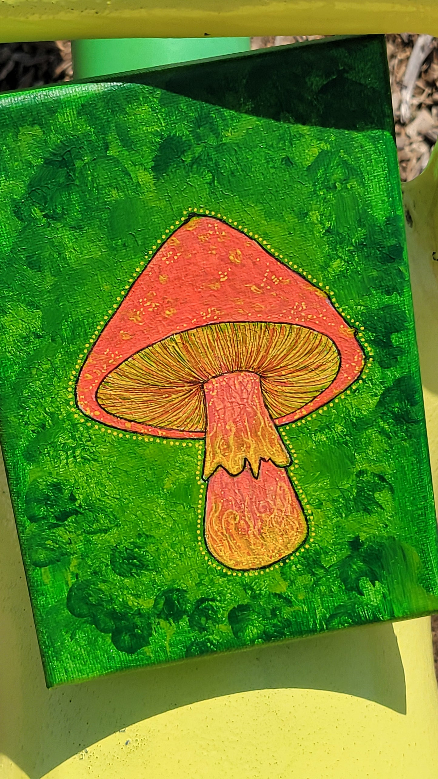 Cutie shroom