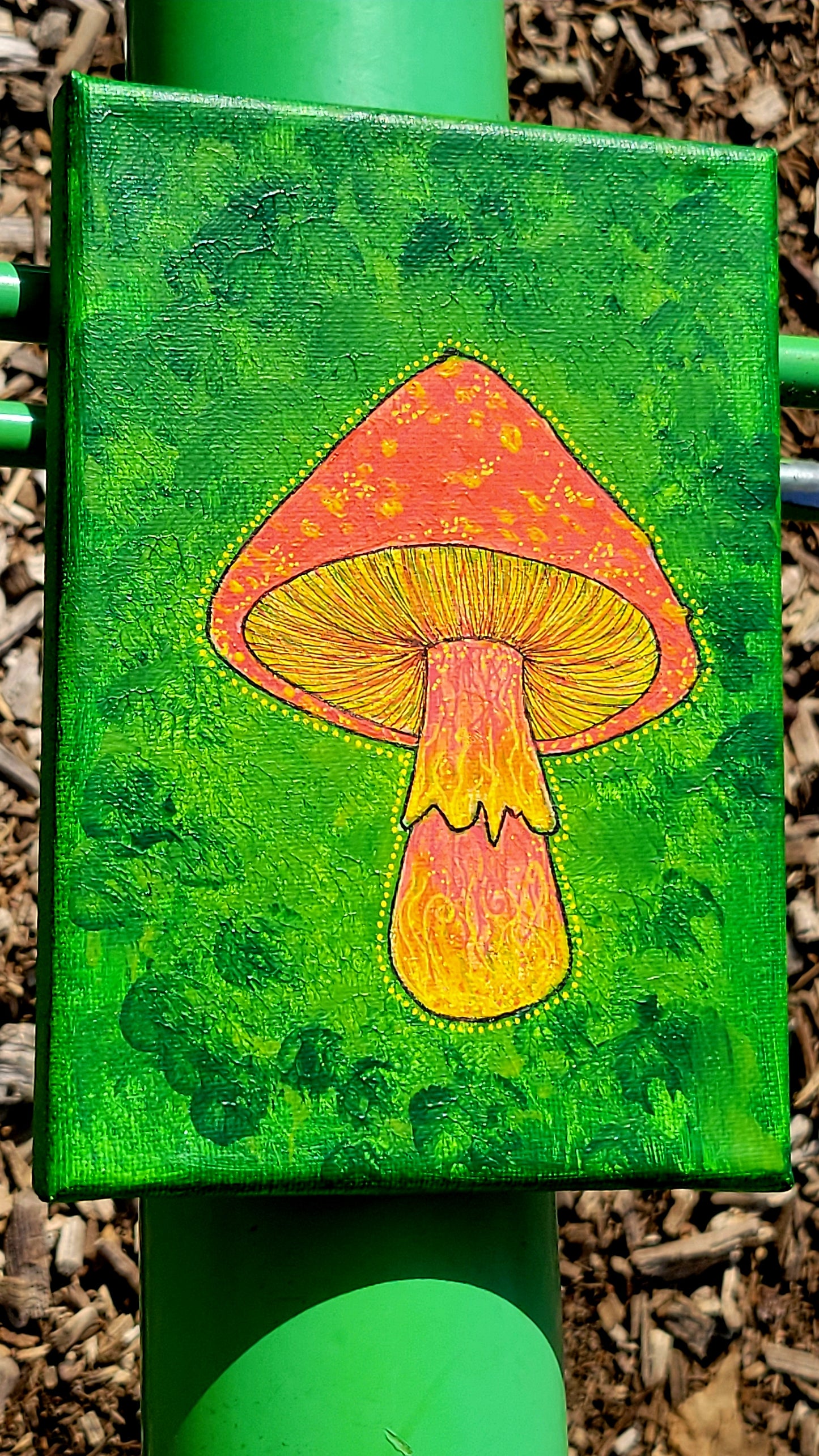 Cutie shroom