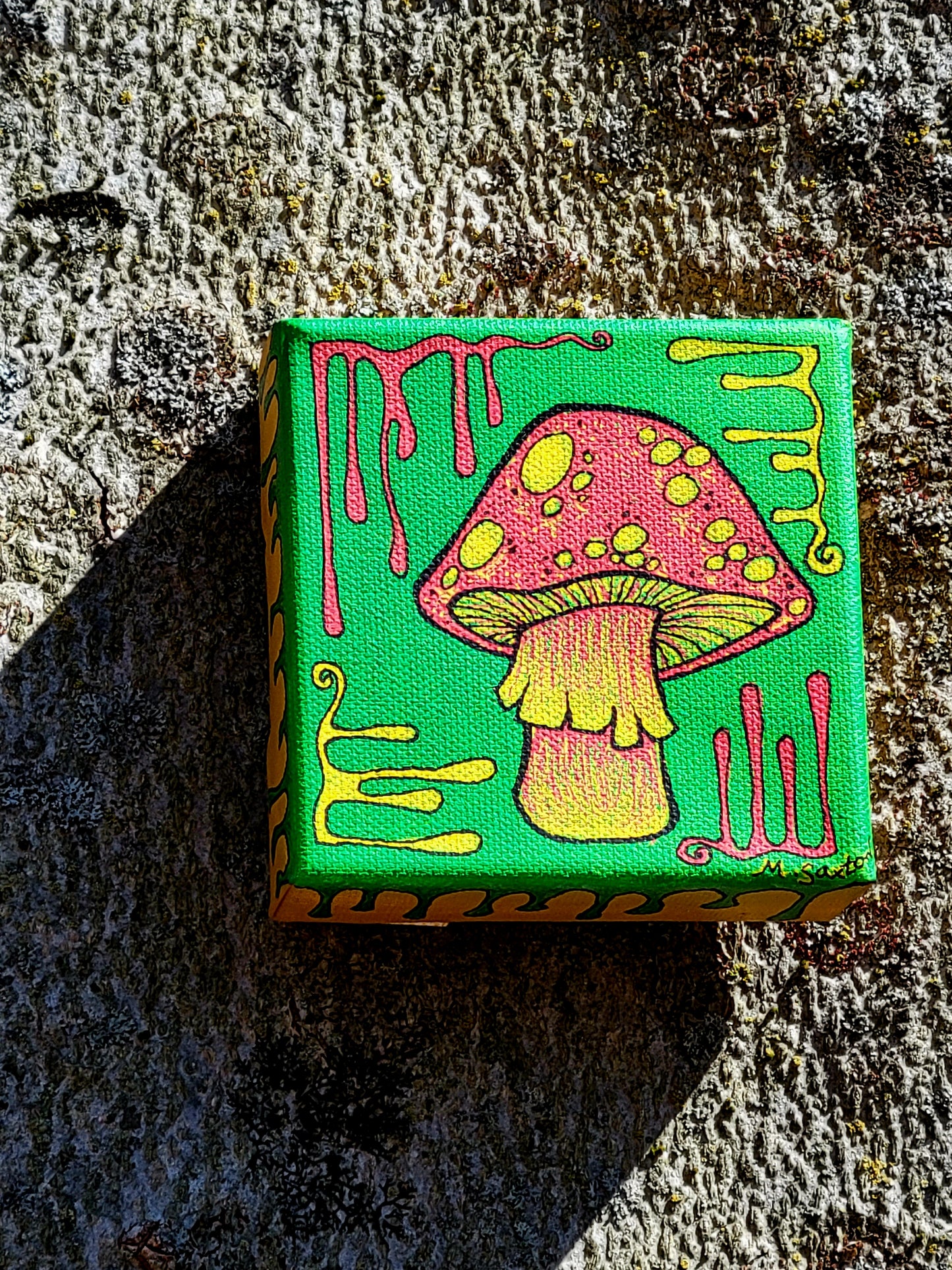 Rasta shroom