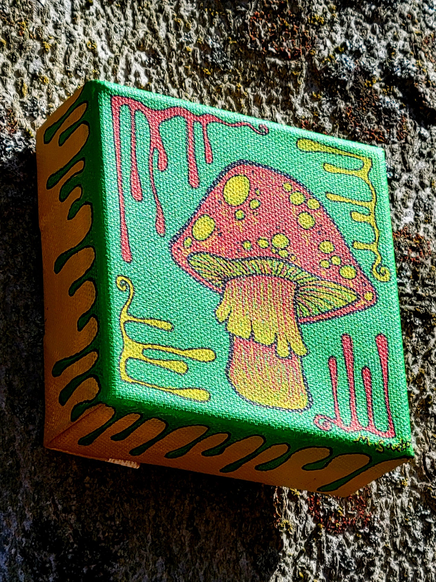 Rasta shroom