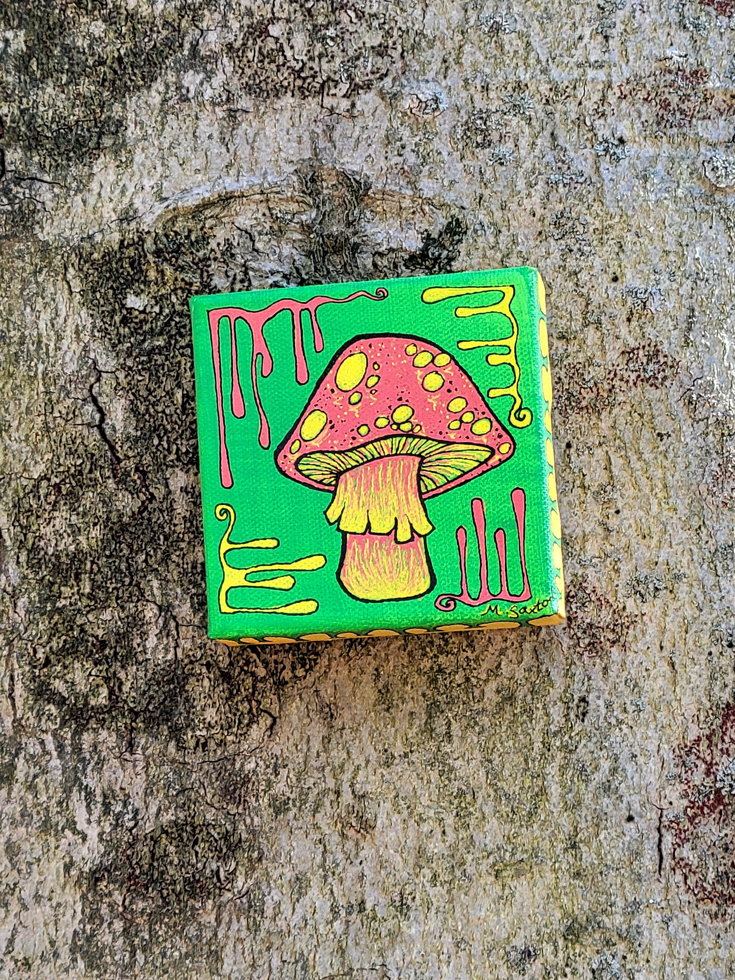 Rasta shroom