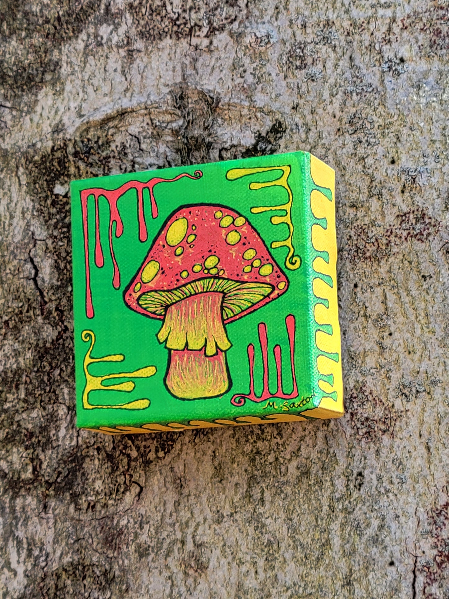 Rasta shroom